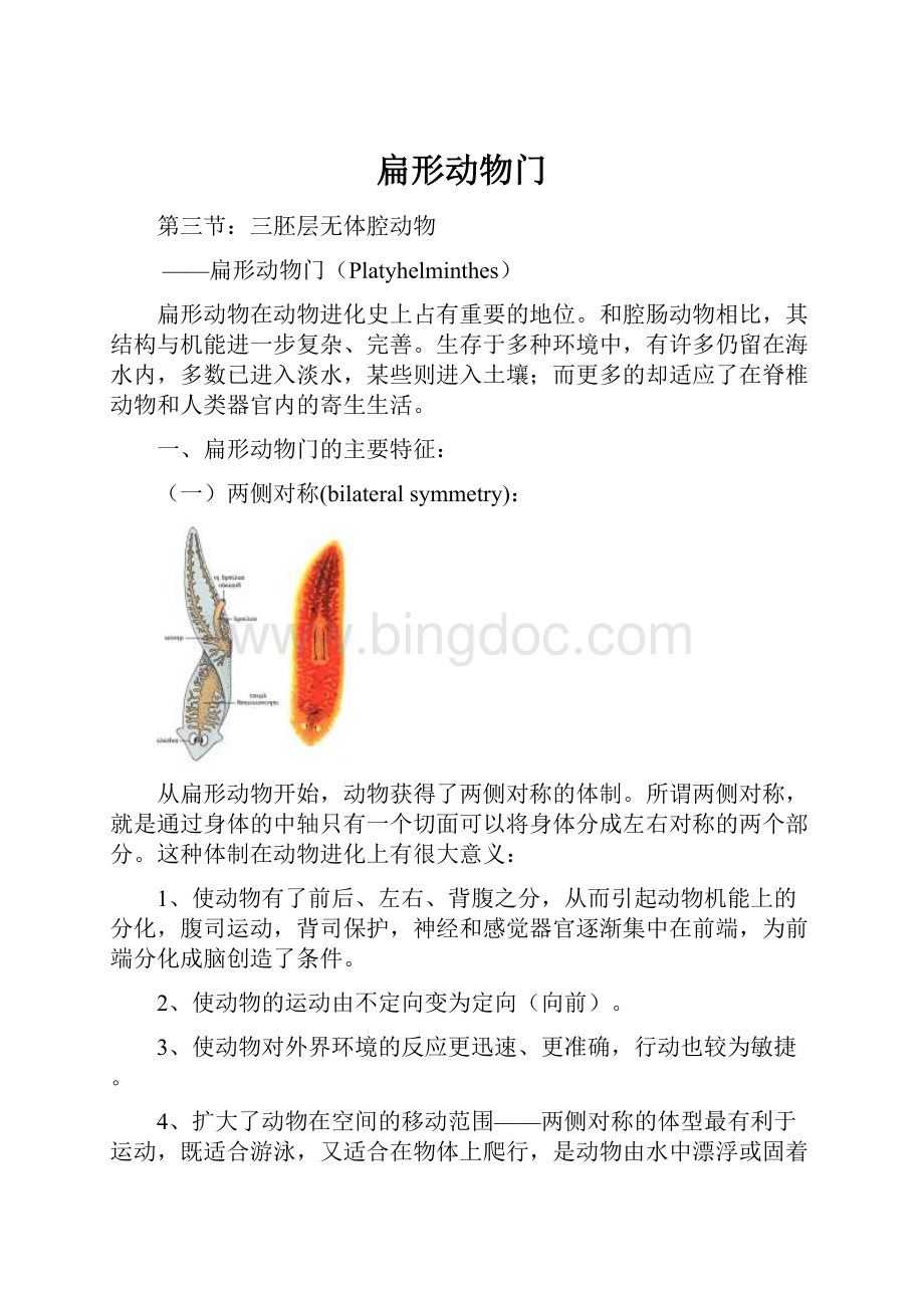 扁形动物门.docx_第1页