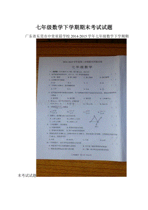 七年级数学下学期期末考试试题.docx