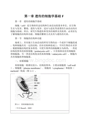 第一章 遗传的细胞学基础F.docx