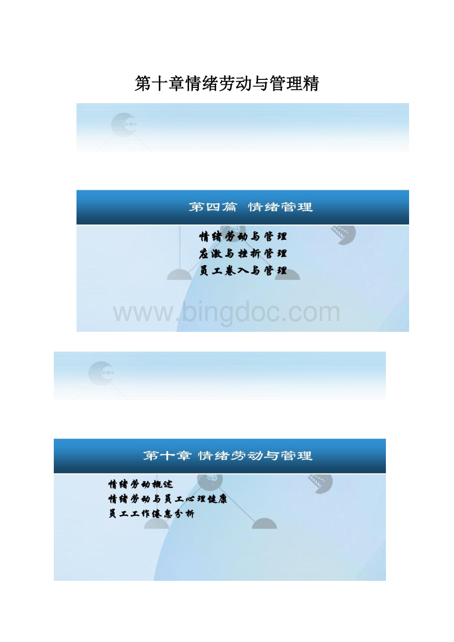 第十章情绪劳动与管理精.docx