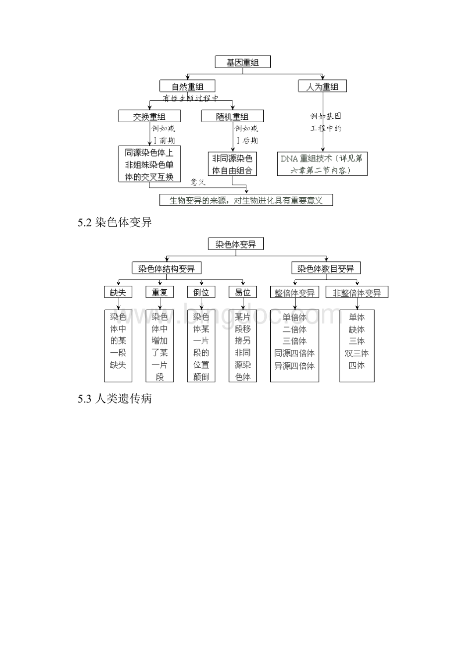 生物必修2第五章第六章第七章知识点框架图.docx_第2页