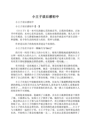 小王子读后感初中.docx