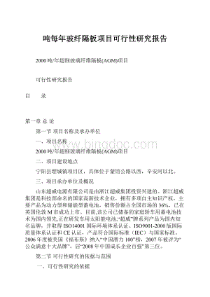 吨每年玻纤隔板项目可行性研究报告.docx