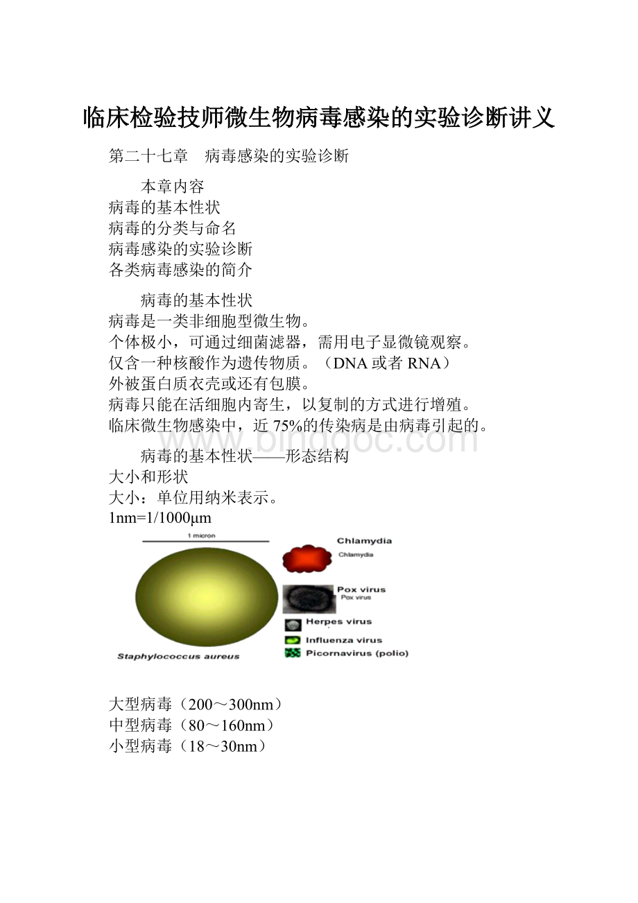 临床检验技师微生物病毒感染的实验诊断讲义.docx_第1页