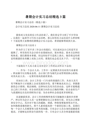 暑期会计实习总结精选3篇.docx