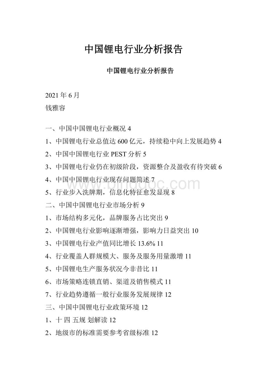 中国锂电行业分析报告.docx