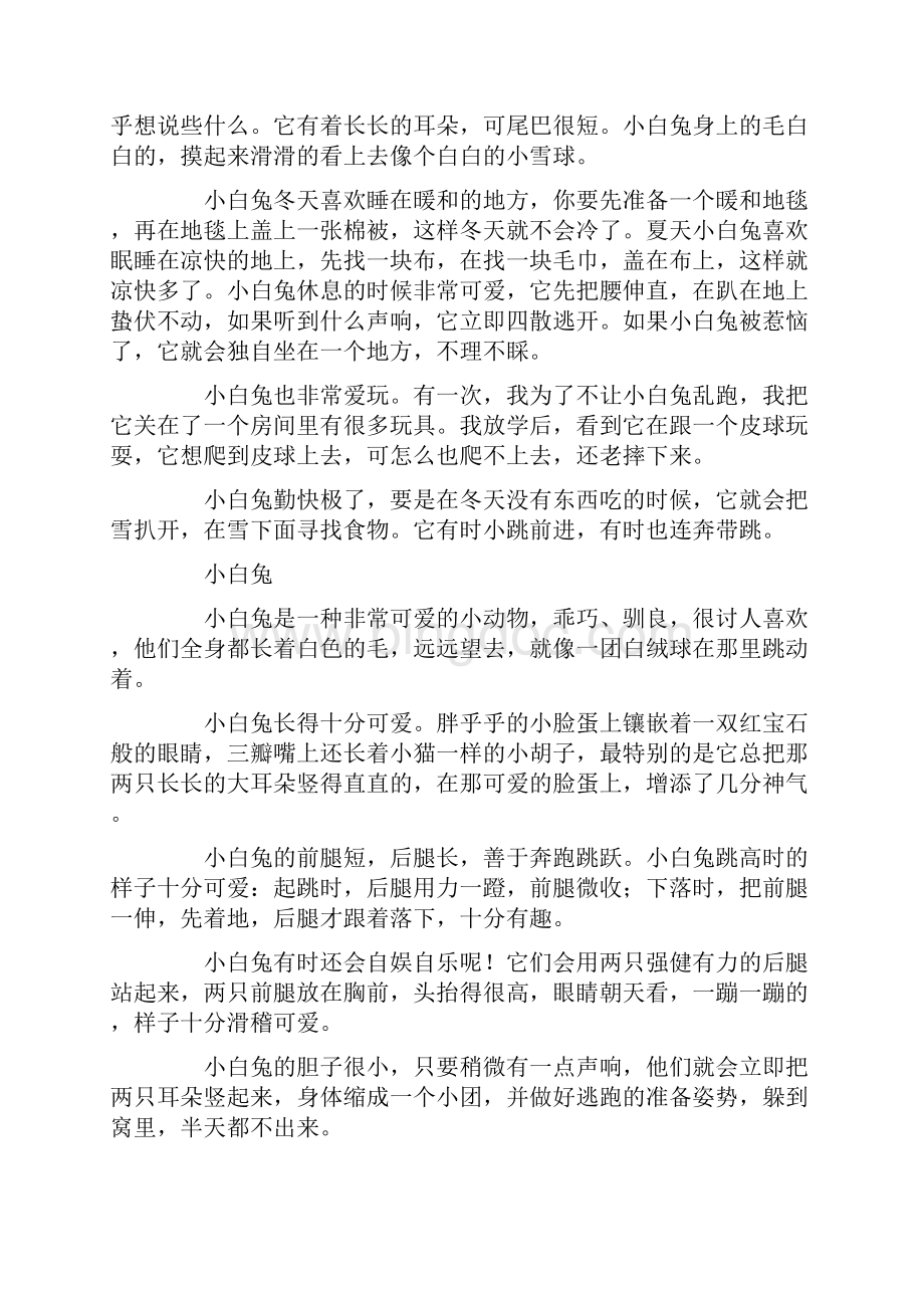 小白兔说明文.docx_第2页