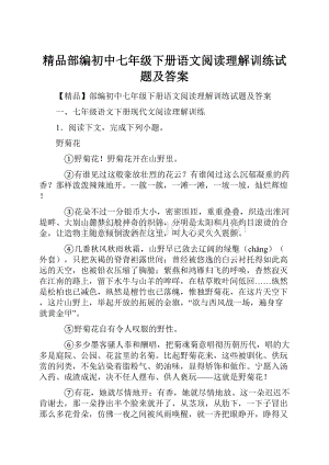 精品部编初中七年级下册语文阅读理解训练试题及答案.docx