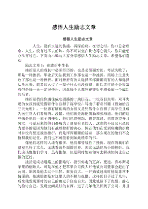 感悟人生励志文章.docx