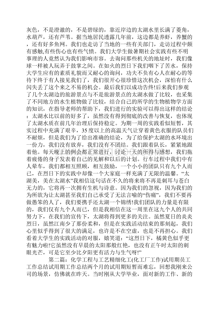 化工厂试用期工作总结.docx_第2页