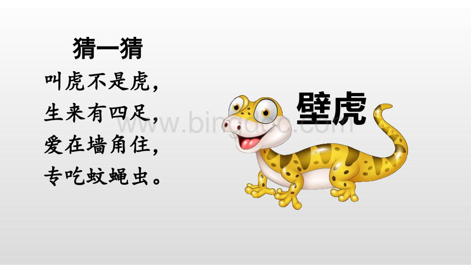 《小壁虎借尾巴》(ppt)课件.pptx_第2页