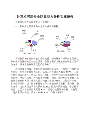 计算机应用专业职业能力分析实施报告.docx