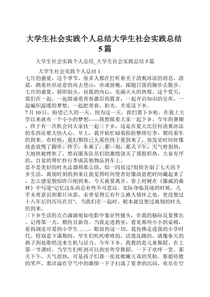 大学生社会实践个人总结大学生社会实践总结5篇.docx