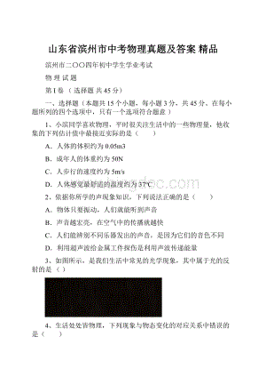 山东省滨州市中考物理真题及答案 精品.docx