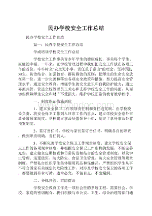 民办学校安全工作总结.docx