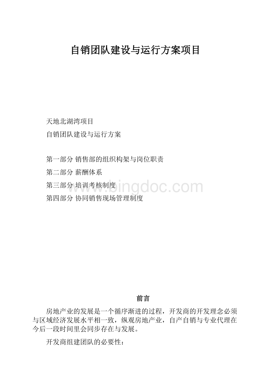 自销团队建设与运行方案项目.docx