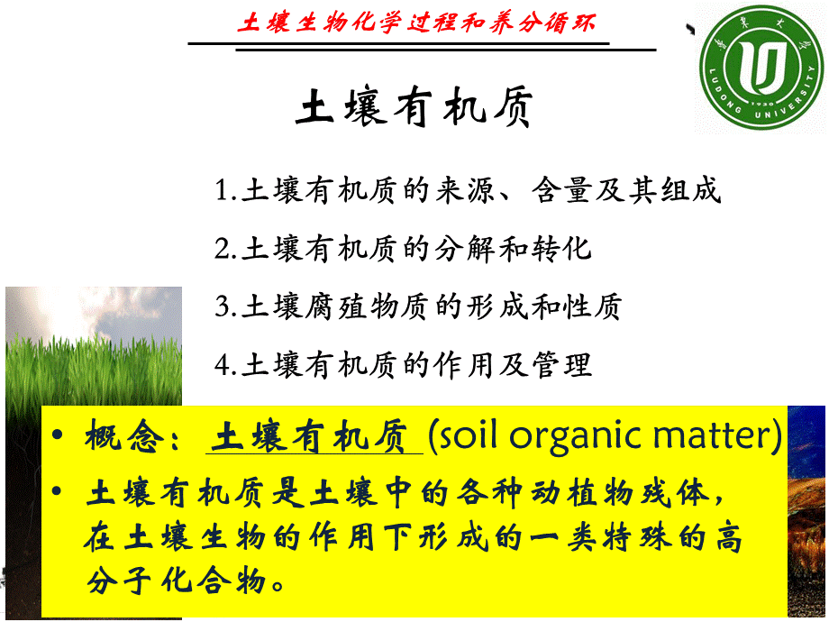 土壤生物化学过程与养分循环课件PPT.ppt_第2页