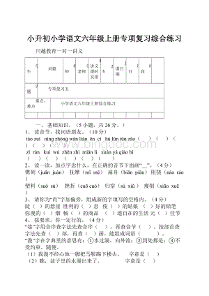 小升初小学语文六年级上册专项复习综合练习.docx