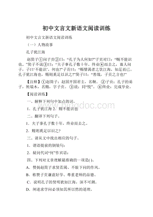 初中文言文新语文阅读训练.docx