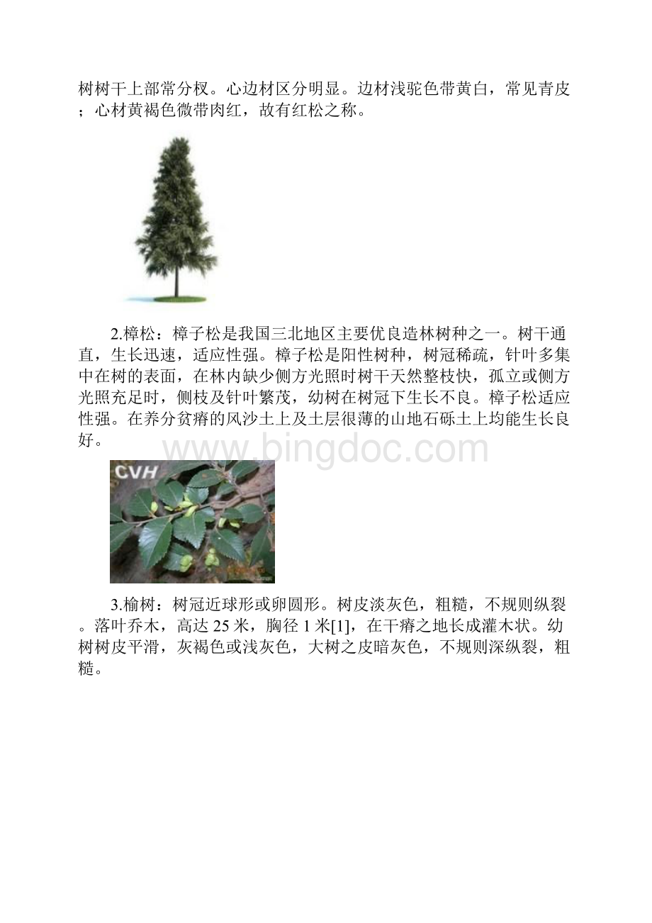 整理东北常见动植物名录.docx_第2页