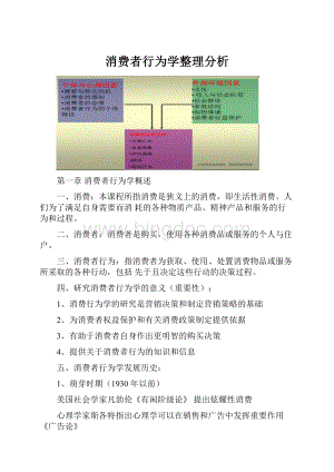 消费者行为学整理分析.docx