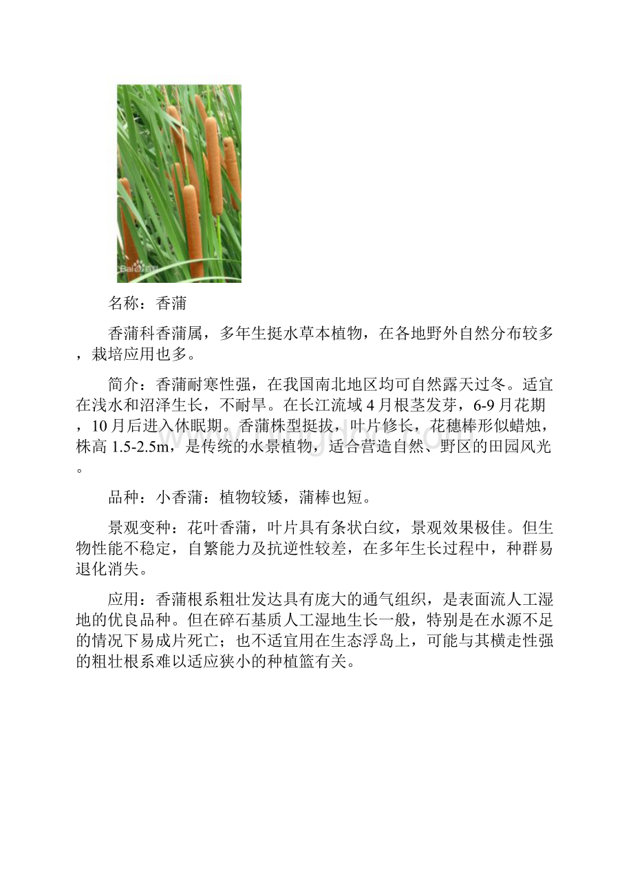常用水生植物种类.docx_第2页