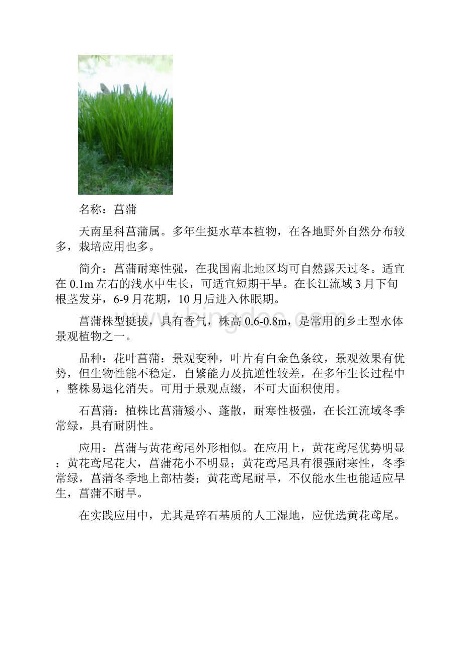 常用水生植物种类.docx_第3页