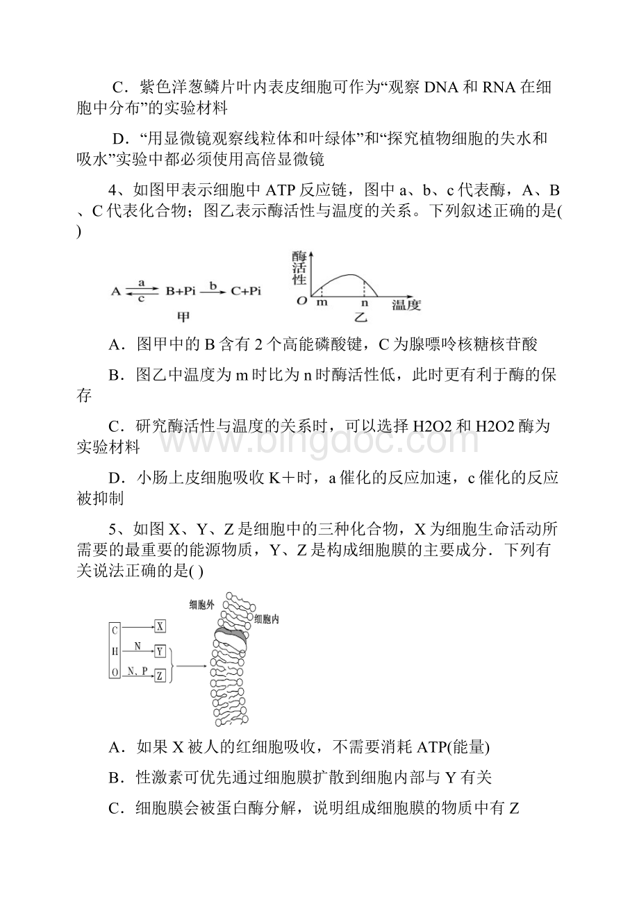 福建省高一生物上学期期末测试题有答案学年加精.docx_第2页