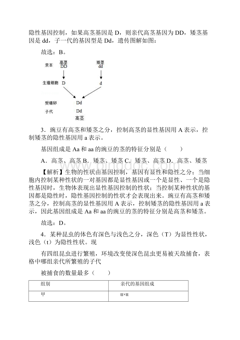 人教版生物八下723基因的显性和隐性10分钟达标练习解析版.docx_第2页