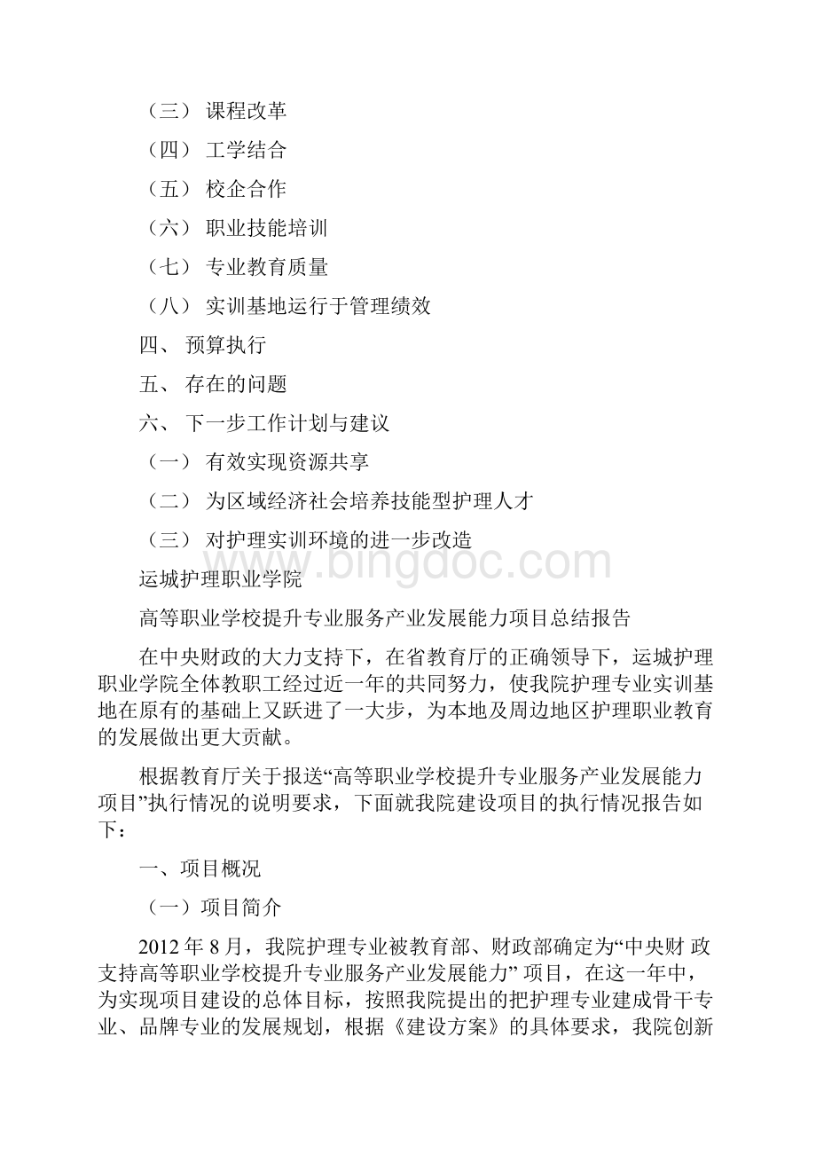 项目总结报告.docx_第2页