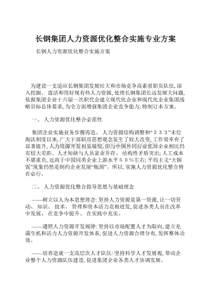 长钢集团人力资源优化整合实施专业方案.docx