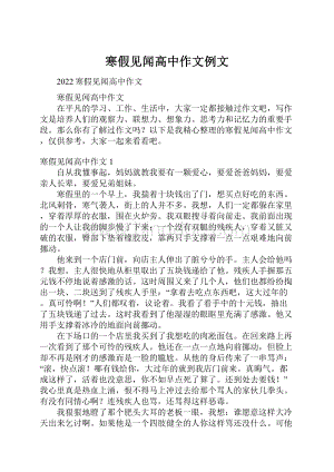 寒假见闻高中作文例文.docx