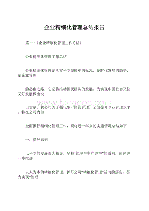 企业精细化管理总结报告.docx