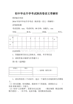 初中毕业升学考试陕西卷语文带解析.docx