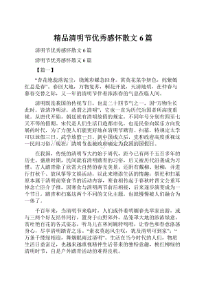 精品清明节优秀感怀散文6篇.docx