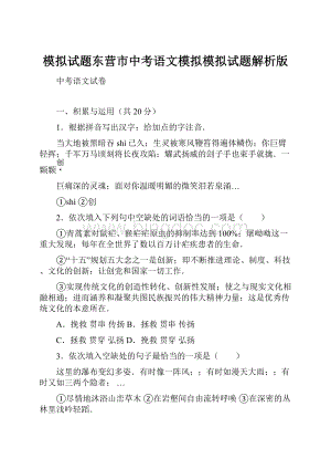 模拟试题东营市中考语文模拟模拟试题解析版.docx