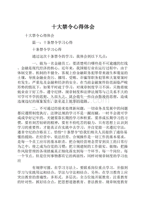 十大禁令心得体会.docx