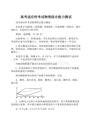 高考适应性考试物理综合能力测试.docx