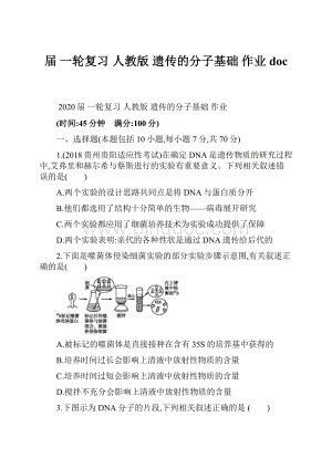 届 一轮复习人教版 遗传的分子基础作业doc.docx