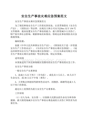 安全生产事故灾难应急预案范文.docx