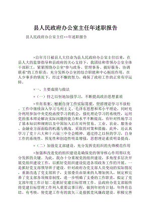 县人民政府办公室主任年述职报告.docx