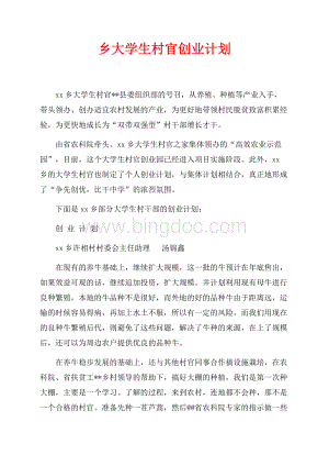 乡大学生村官创业计划（共3页）1900字.docx