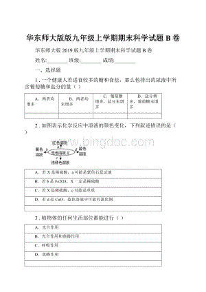 华东师大版版九年级上学期期末科学试题B卷.docx