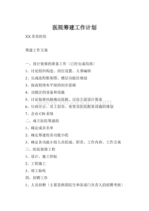医院筹建工作计划.docx