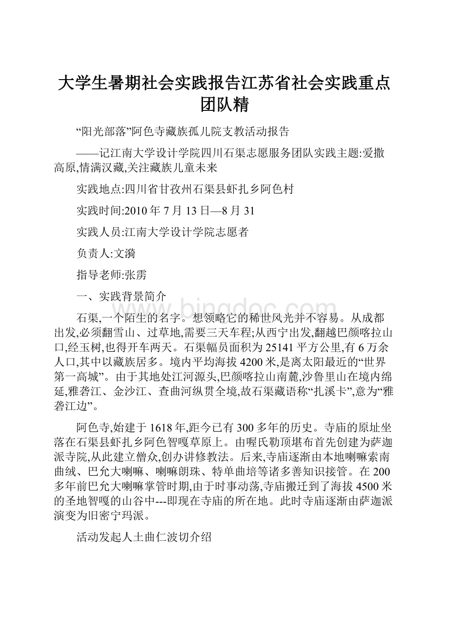 大学生暑期社会实践报告江苏省社会实践重点团队精.docx