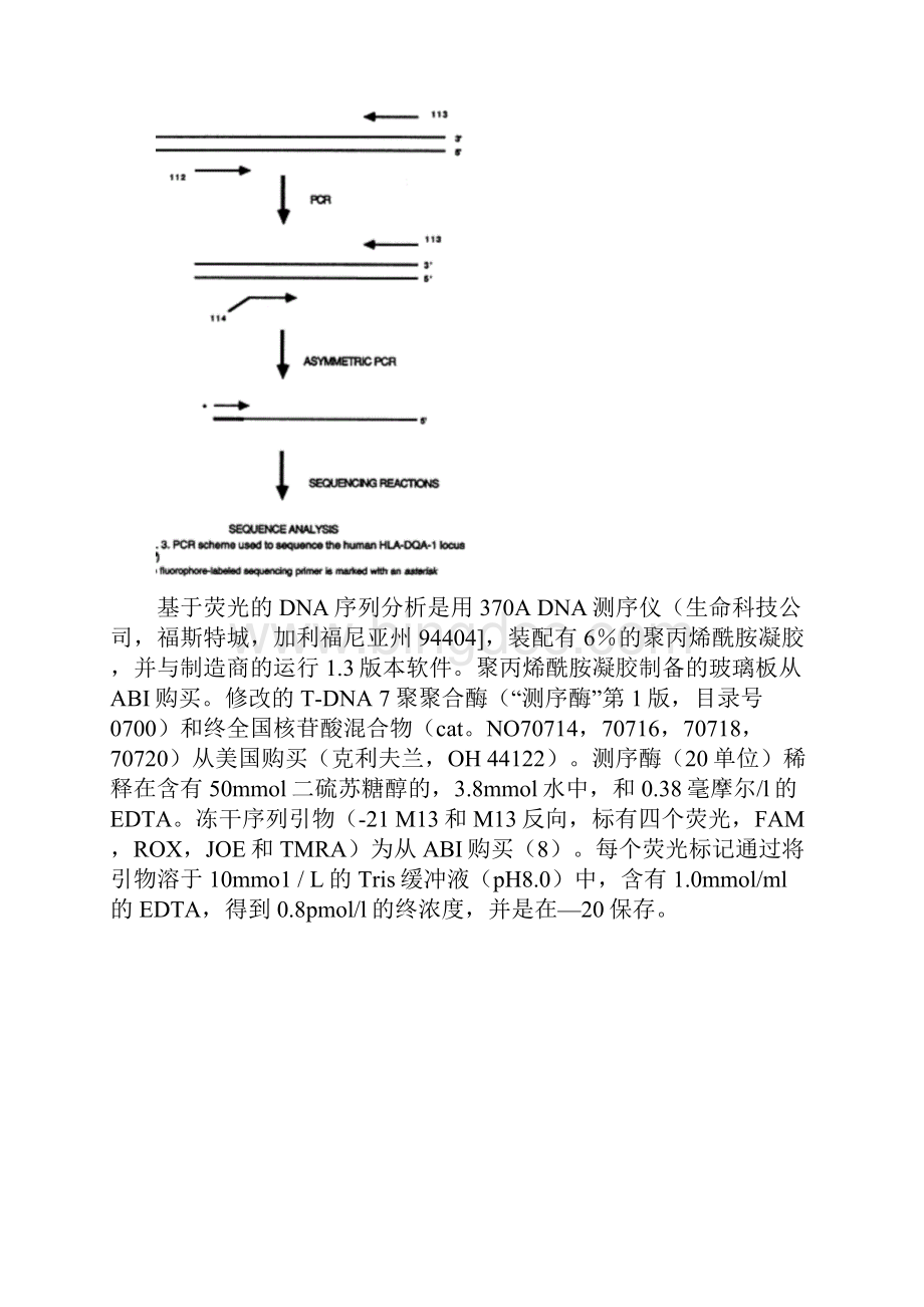 英文用聚合酶链反应方法自动测序DNA文章翻译.docx_第3页