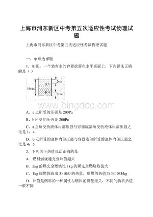 上海市浦东新区中考第五次适应性考试物理试题.docx