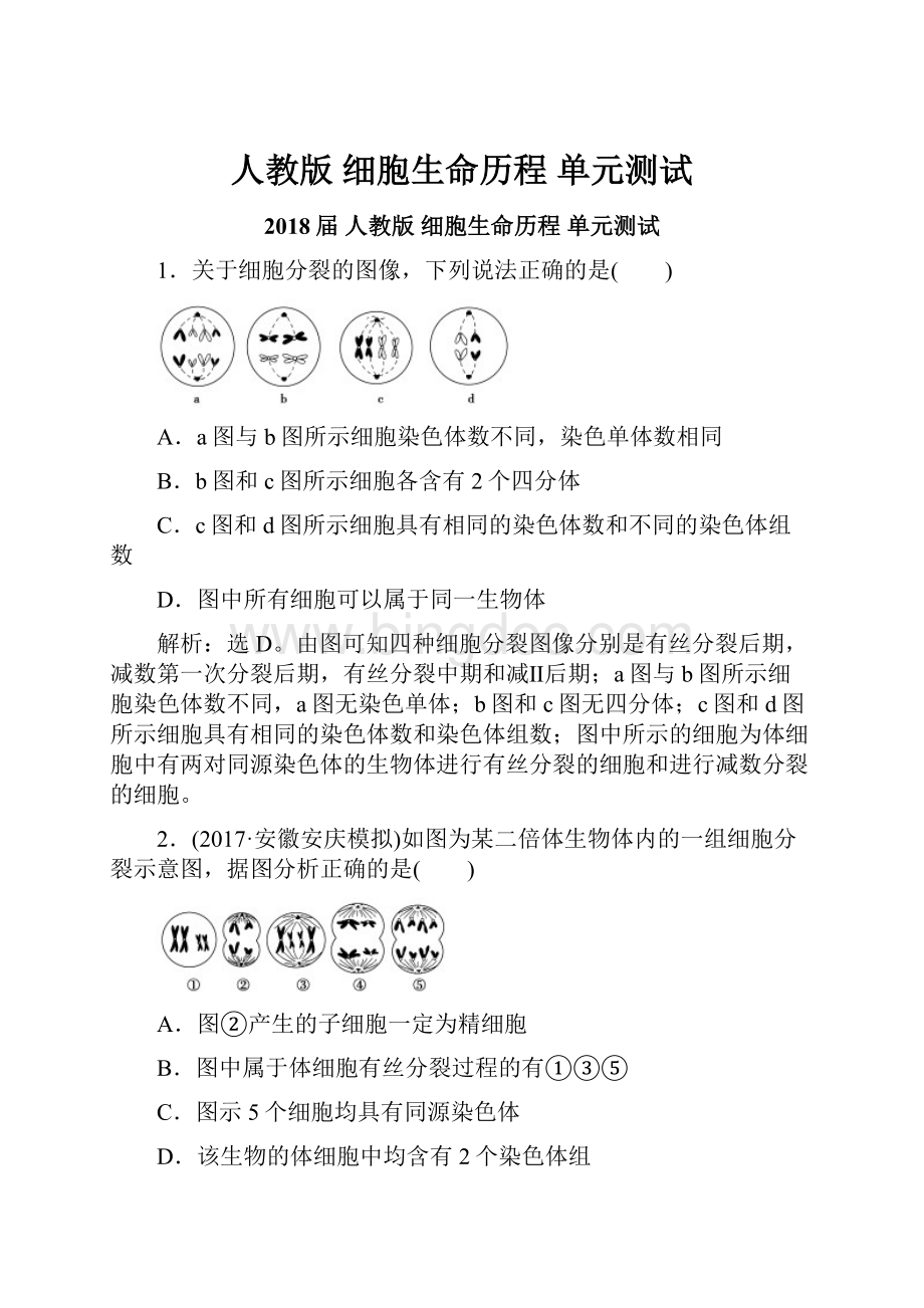 人教版细胞生命历程 单元测试.docx_第1页