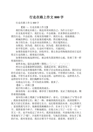 行走在路上作文800字.docx