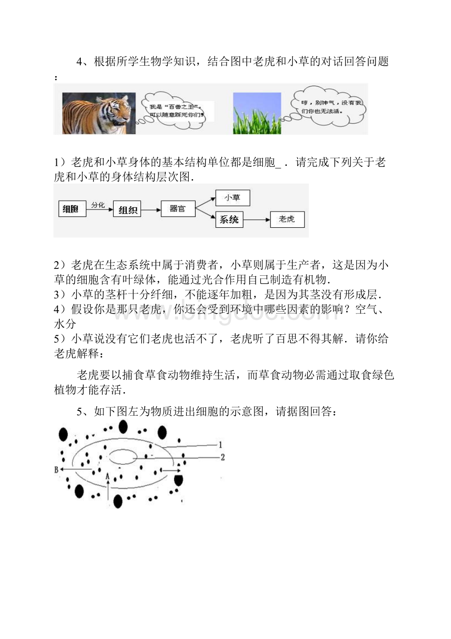 初中生物简答题汇总情况.docx_第3页